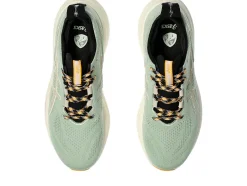 GEL-NIMBUS 26 TR><noscript><img width=