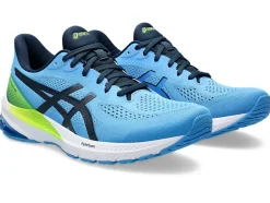 GT-1000 12>ASICS Hot