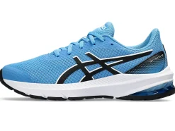 GT-1000 12 GS><noscript><img width=