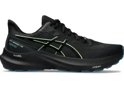 GT-2000 12 GTX>ASICS Online